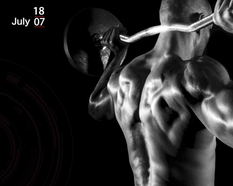 Build muscle (hypertrophy).jpg