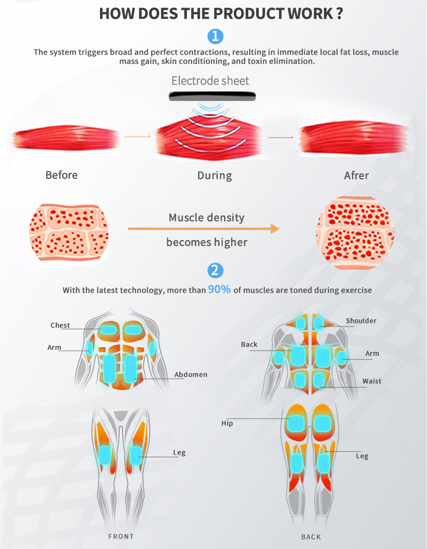 EMS training muscle EMS training muscle